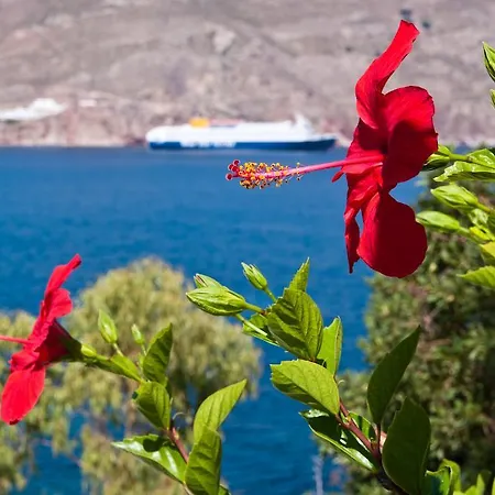 Apartmán Antoniadi Livadia (Tilos)