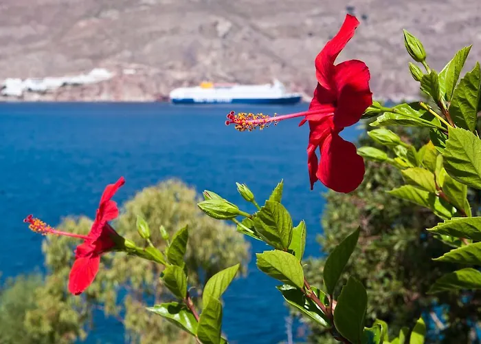 شقة Antoniadi Livadia (Tilos)